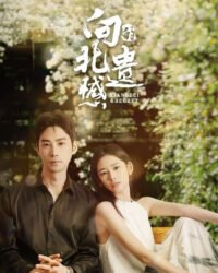 Tiếc Nuối Của Hướng Bắc Tiếc Nuối Của Hướng Bắc